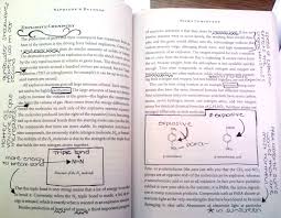 Claremont Lab Report Graphic Organizer     UCLA Center X