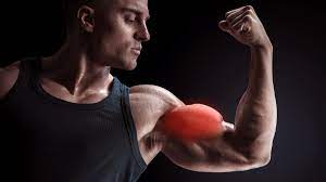 how to get wider biceps best