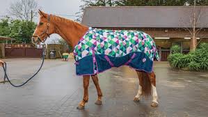 ponyo 100g turnout rug with detachable