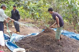 Image result for phương pháp ủ phân hữu cơ vi sinh