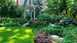 Early Fall Shade Garden With These Plants