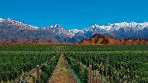 Mendoza is divided up into different wine departments' or regions and each has its own particular charm. Chose To Flight With A Private Jet To Mendoza And Enjoy Its Wine Culture South American Jets