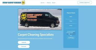 sunny carpet cleaning