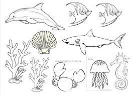 110 gambar ilustrasi kehidupan laut. Contoh Lukisan Hidupan Laut Cikimm Com Animals Bandar