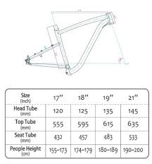 Bike Fit Frame Geometry And Standover Height Flatbike