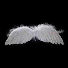 Feather angel wings
