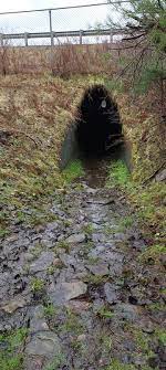 Finger Lakes Tunnels | TikTok