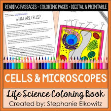 Anatomy 1 & 2 · worksheets · biology 2. Animal Cell Coloring Answer Key Worksheets Teaching Resources Tpt