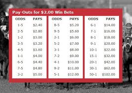 Horse Race Betting Odds Explained Fractions Stake Percentages