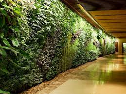 Top Living Wall Designs Greening Your