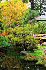 the anese tea garden in golden gate