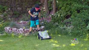 Young Entrepreneur Grows Lawn Mowing