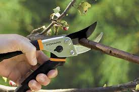 Using Tri-Angle sharpener on pruning shears? - Spyderco Forums