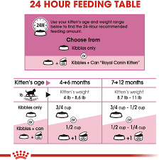 Dry food is fine as long as it is complete and balanced, says dr. Kitten Food Feeding Chart Famba