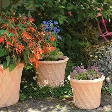 Woodlodge Terracotta Aladdin Pot For