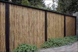 bamboo fence homeadvisor