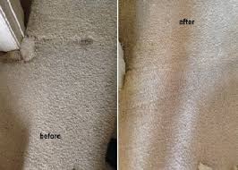 carpet cleaning service savannah