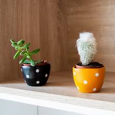 Small Black Planter Pot Trade Aid