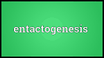 entactogenesis