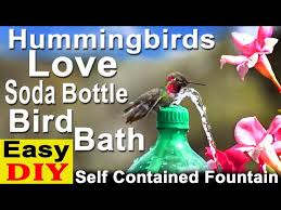 Make Hummingbird Endless Water Fountain