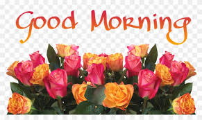 99 good morning wishes with flowers