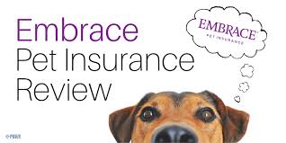 Choosing the right pet insurance plan for your pet and your budget is hard enough without sorting through multiple coverage levels, or deciding if you need extra coverage (that always comes with an extra cost). Embrace Pet Insurance Review Does Your Dog Need Coverage