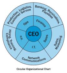 Circular Organization Chart Organizational Chart Social