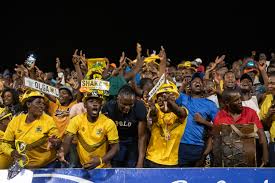 Black leopards is currently on the 16 place in the 1. The Heart And Soul Of Black Leopards New Frame