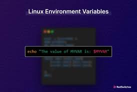 how to set linux environment variables