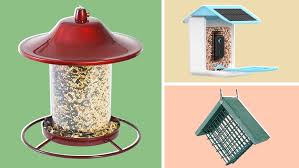 what to know about bird feeders and the