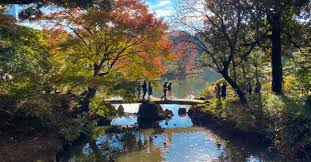 in tokyo rikugien gardens an