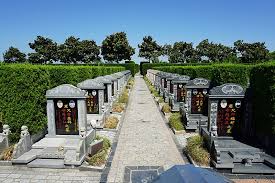 Cemetery Wikipedia
