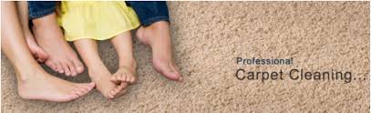carpet cleaning spring hill 352 631 7100