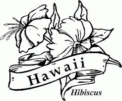 Print hibiscus coloring page (color). Free Hibiscus Flowers Coloring Pages For Preschool 20426 Coloring Home