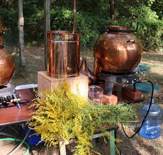 Distilling Aromatic Plants The School