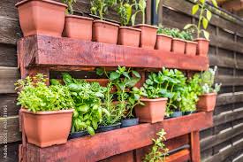 Vertical Herb Garden In Pots Home