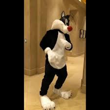 Sure, just write a suggestion in the comments. Boxing Star Floyd Mayweather Uploads Hilarious Instagram Video Of His Dancing In Sylvester The Cat Halloween Costume