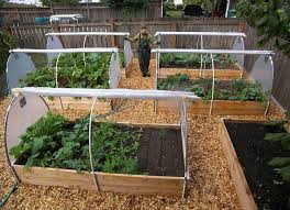 Ideas For Container Vegetable Gardening