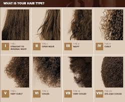 Everything You Need To Know About Hair Types For Natural Hair