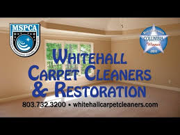 whitehall carpet cleaning columbia
