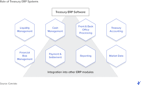 Treasury Management Best Practices And Overview Toptal