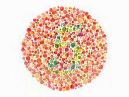 Color Blindness Test Real