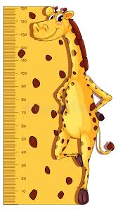 Height Measurement Chart With Giraffe In Background Stock