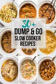 30 dump and go slow cooker recipes