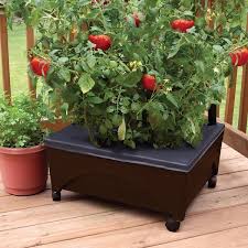 City Pickers Raised Patio Garden Bed Grow Box Kit With Watering System Brown