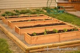 Planting A Raised Garden Bed