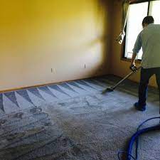 carpet cleaning near hastings mn