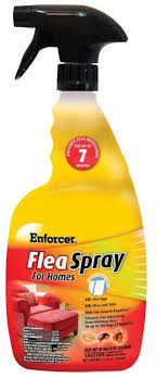 flea carpet powder