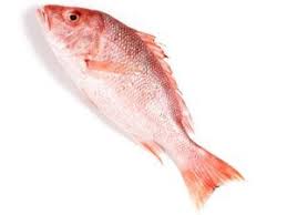 All of these benefits can be taken advantage of by ordering products from alibaba.com. Fish Names With Images