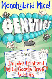 Check spelling or type a new query. Amy Brown Science Free Monohybrid Genetics Practice Problem Worksheet